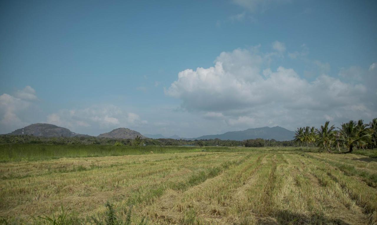 דמבולה Nilambara Lake View מראה חיצוני תמונה